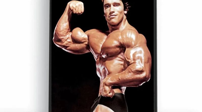 Arnold Schwarzenegger: A Multifaceted Icon